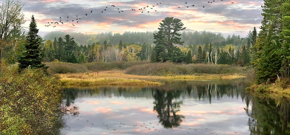 Scenic Michigan lake, a reminder of the environment we all want to protect 